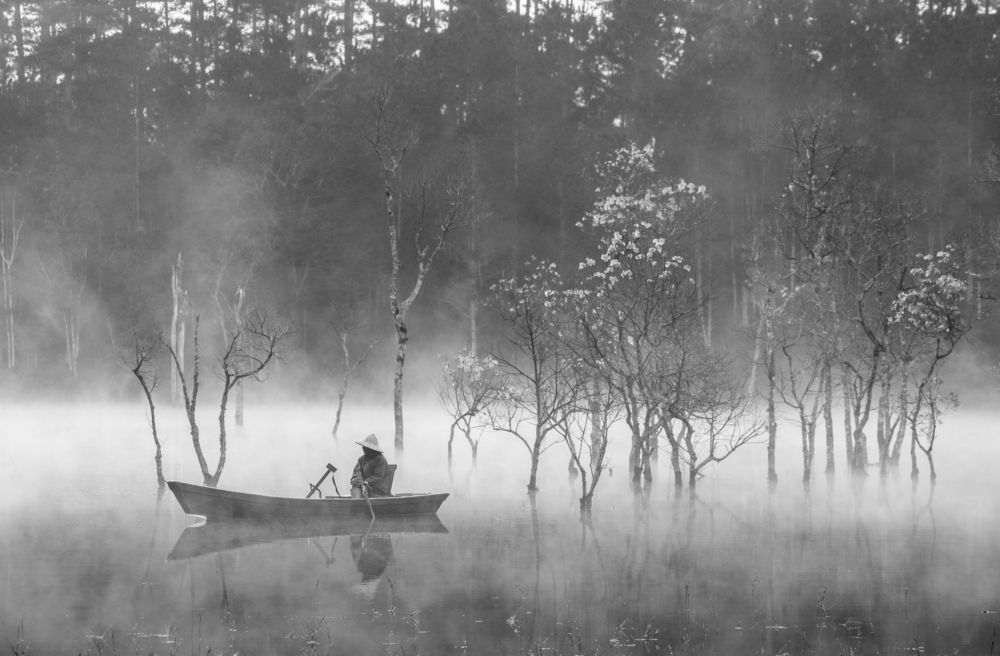 Photograph by nguyễn minh