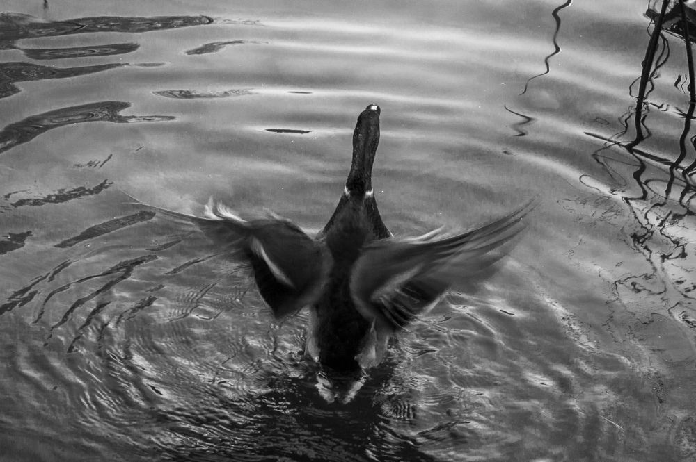 Движение - 3