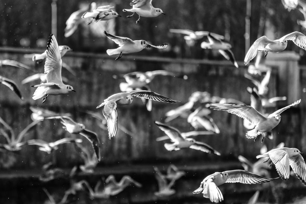 Photograph by Сергей Котов