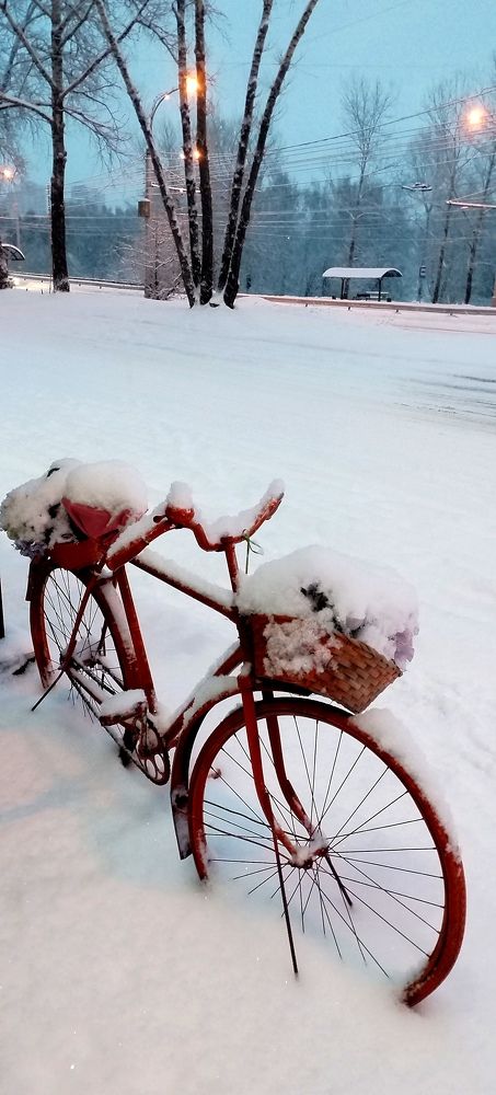 Photograph by Ирина Корнева