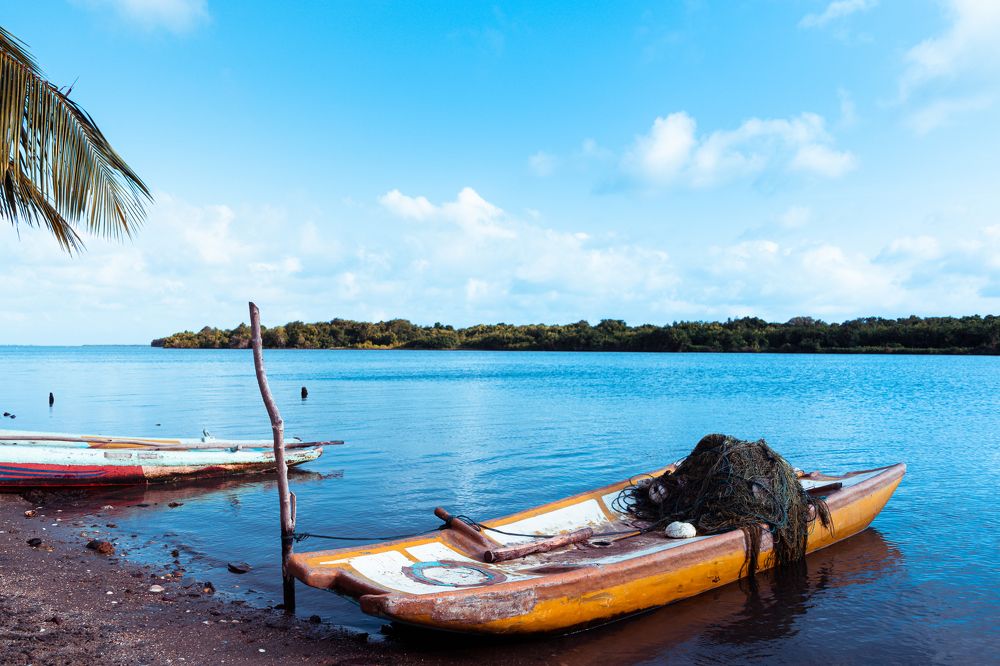 Photograph by Thusitha Dananjaya