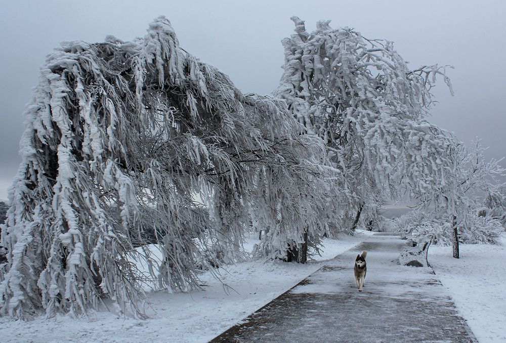 Photograph by Сергей