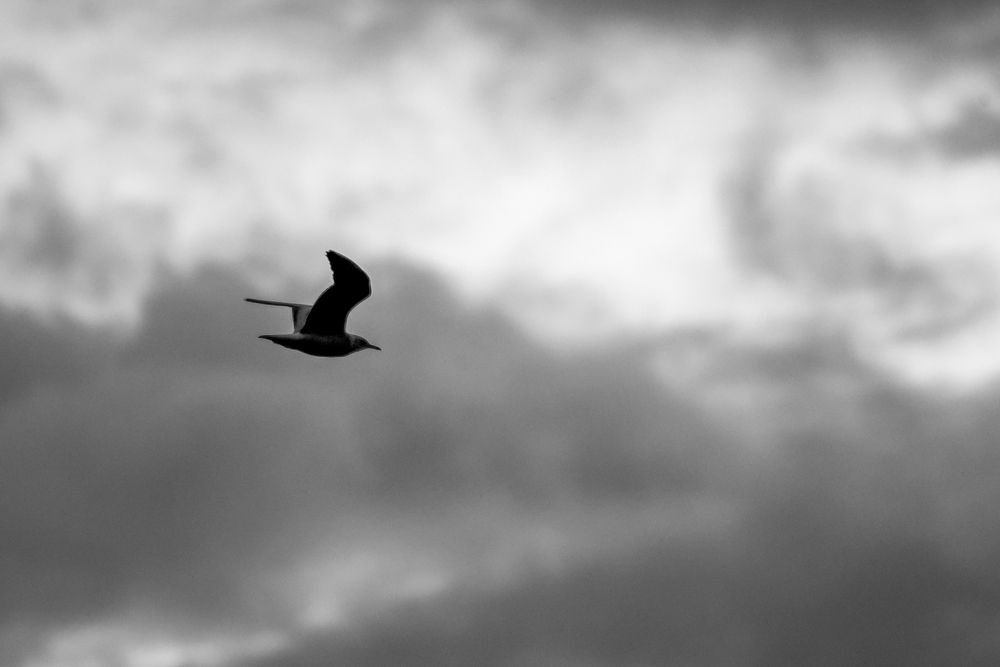 Photograph by Yuliya Pilipchuk