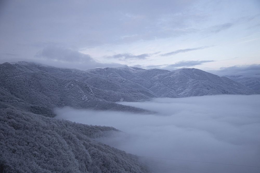 Photograph by Sallys Vision