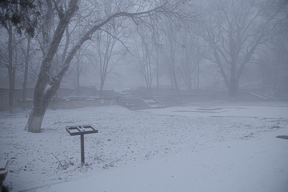 Photograph by Sallys Vision