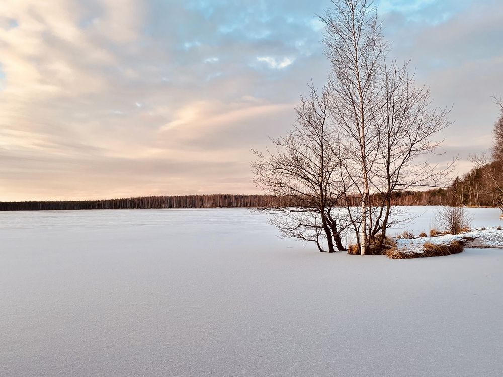 Photograph by Елена Джалалян