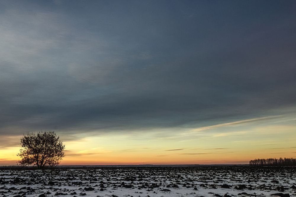 Photograph by Бугвин Алексей