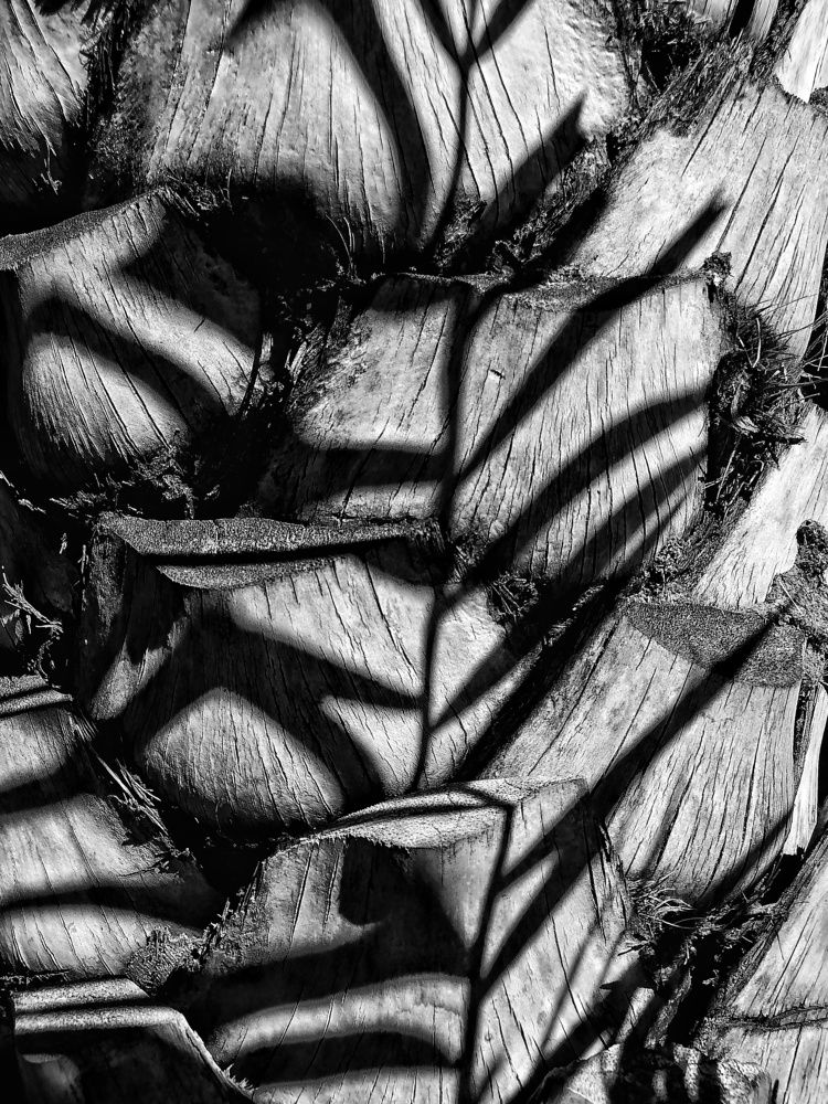 Фотография автора Abhitha