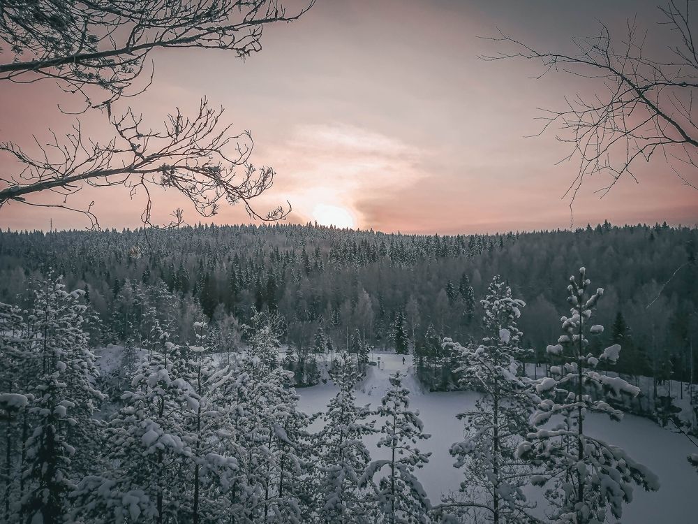 Фотография автора Яковлева Людмила