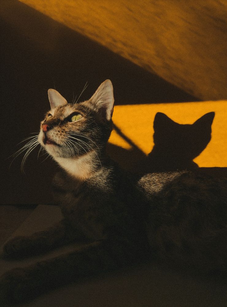 Фотография автора Abhitha