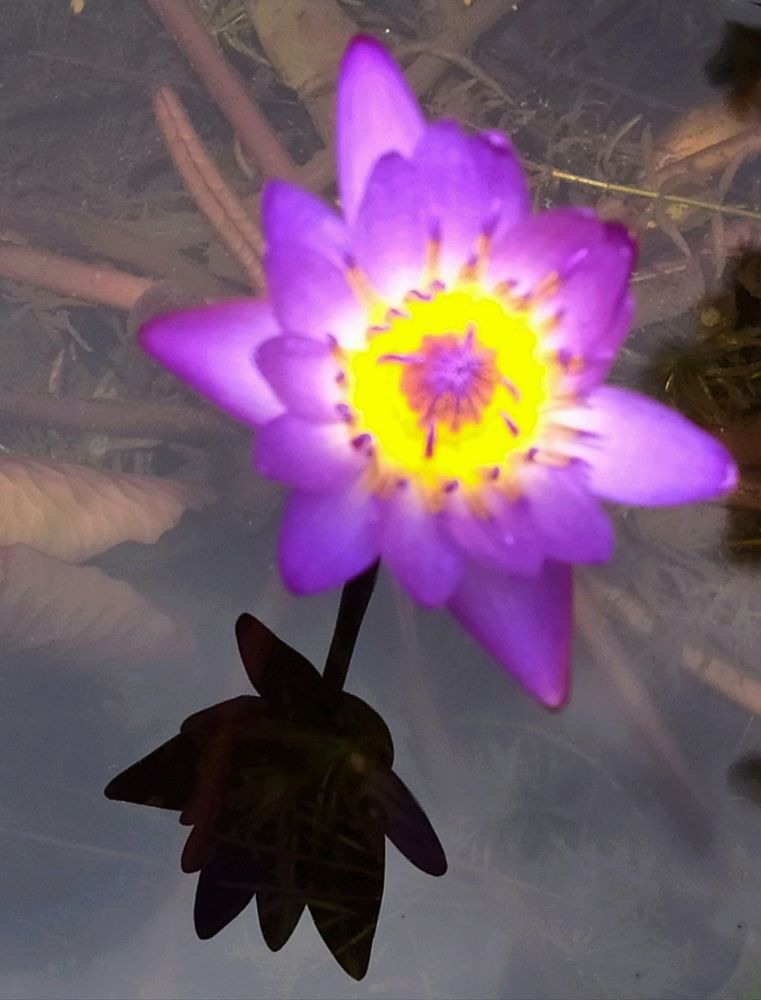 Photograph by Надежда