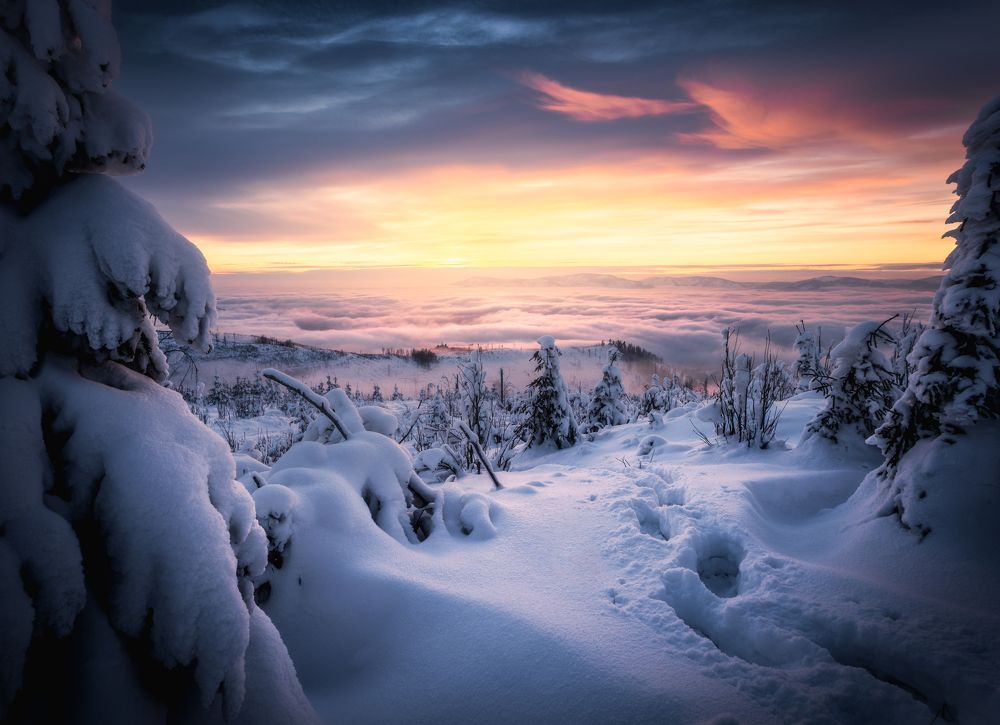 Winter sunset