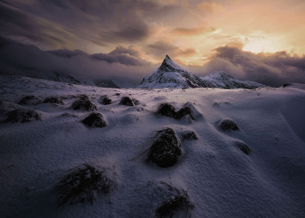 Photograph by Go Andy