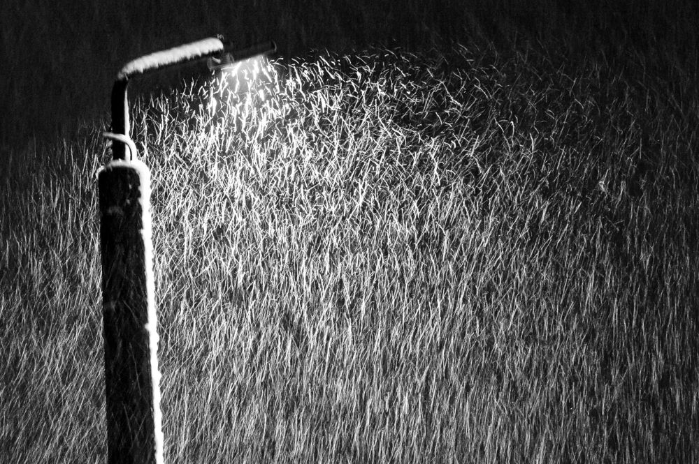 Движение - 4