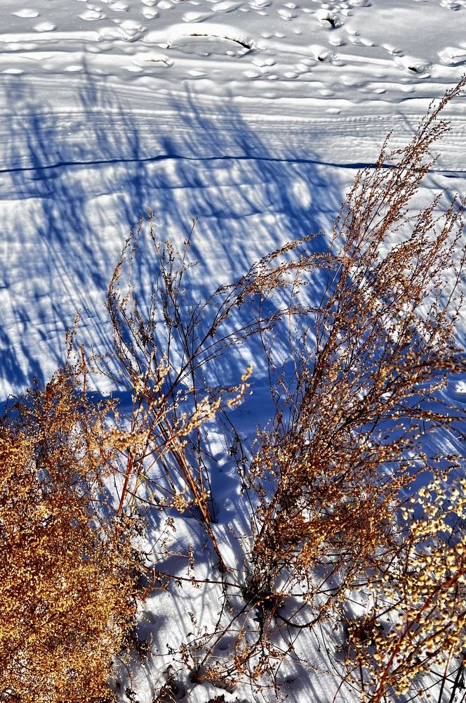 Photograph by Елена Мизина