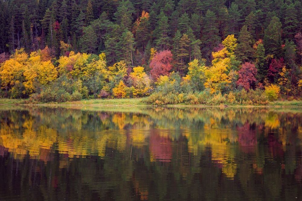 Сердцебиение сентября