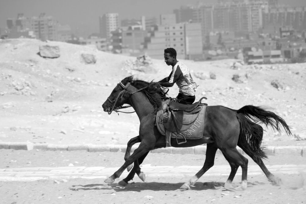 Photograph by Пётр Соколов