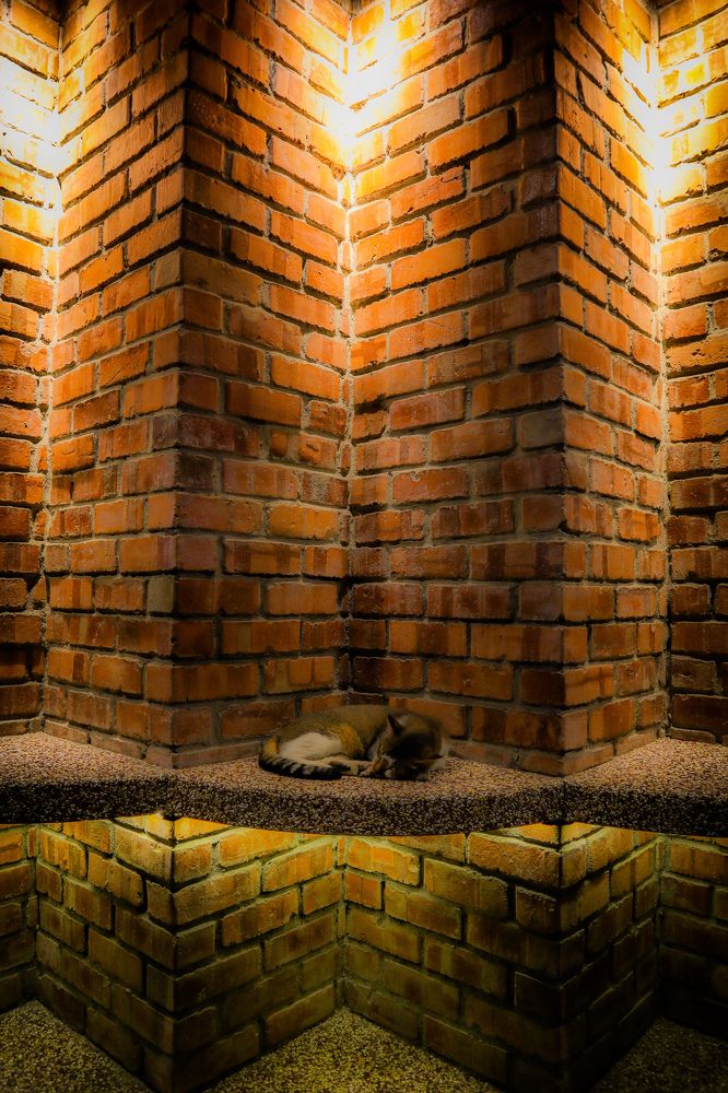 Photograph by bookworm513