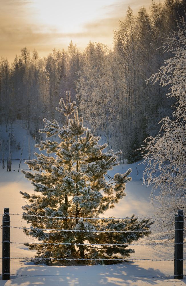 Photograph by Олег Бережных