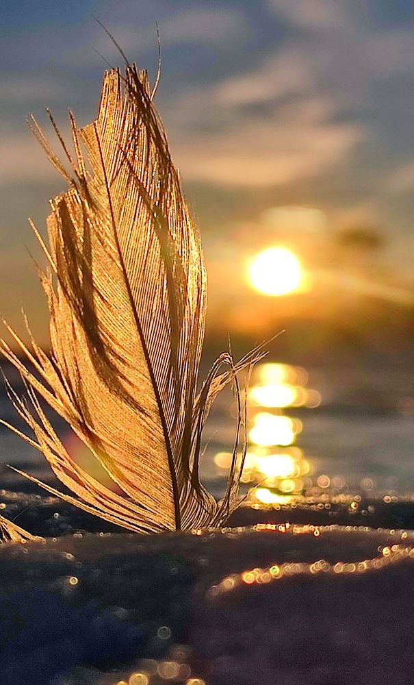 Photograph by Юлия Гинтер