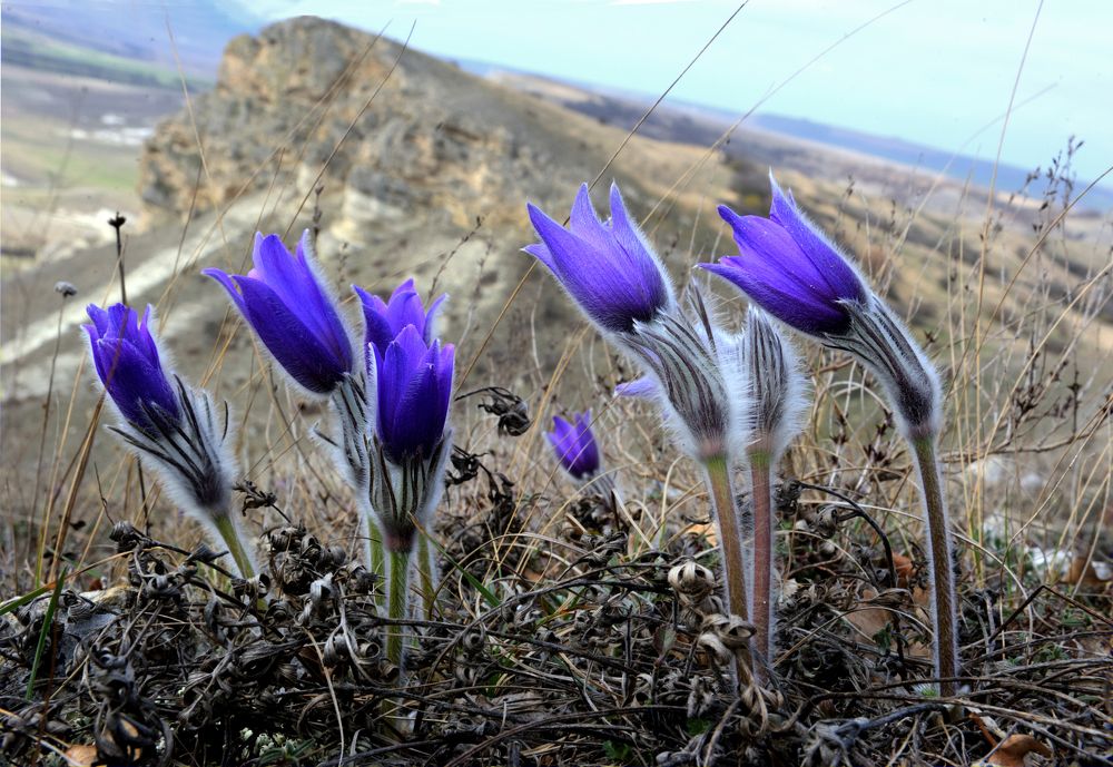 Photograph by Евгений Самулев