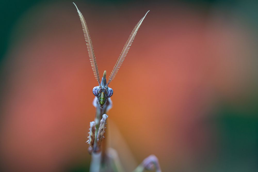 Photograph by Николай Фонарёв