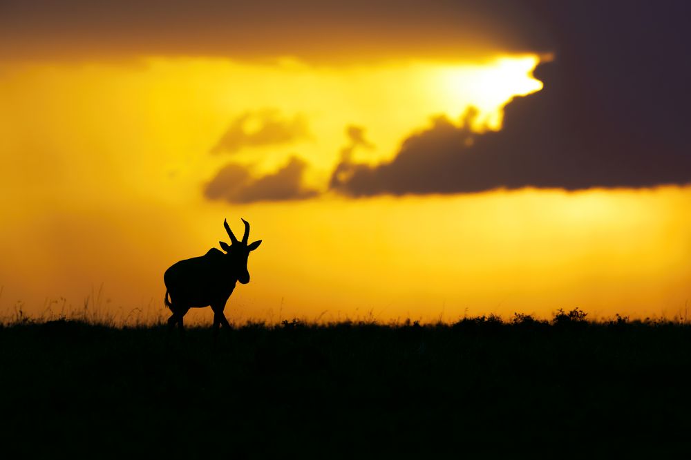 Photograph by  Sajeevkumar