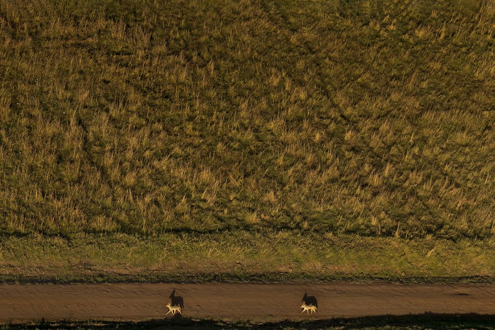 Photograph by  Sajeevkumar