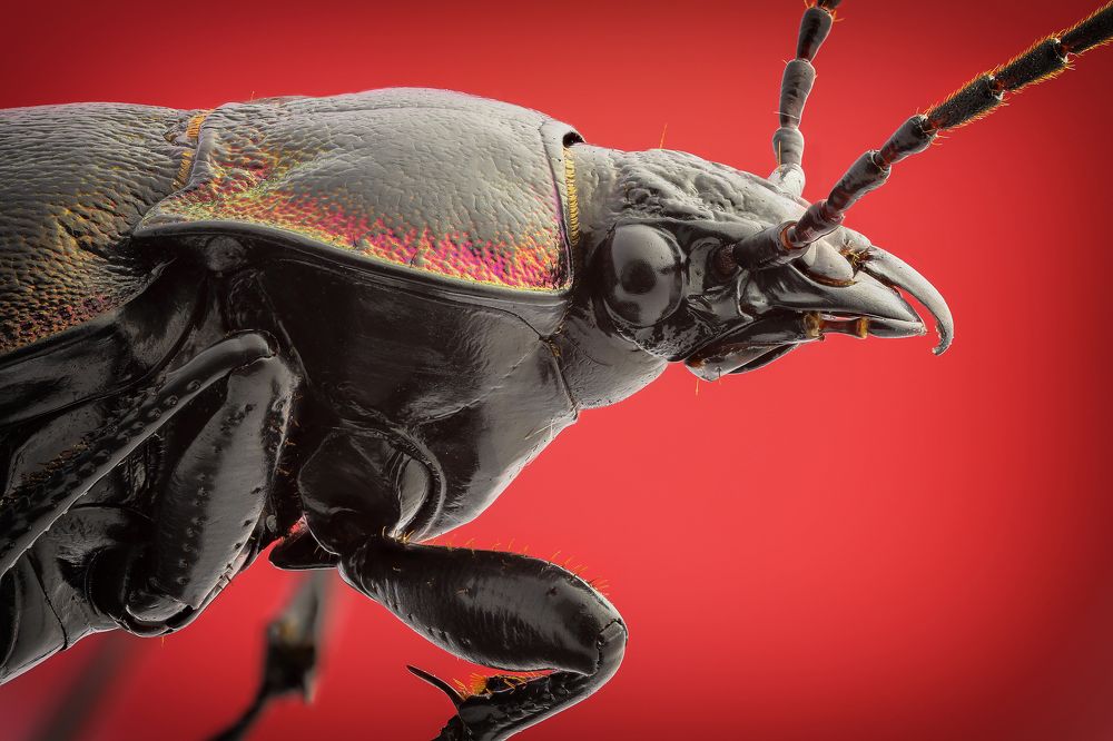 Photograph by Кузнецов Дмитрий