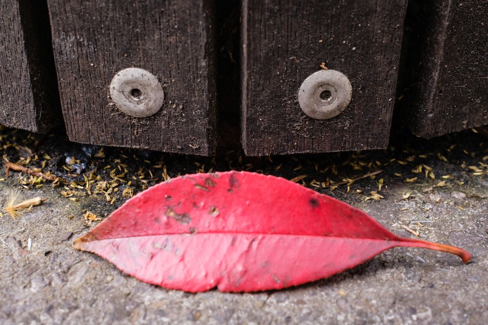 Photograph by Jeffrey De Keyser