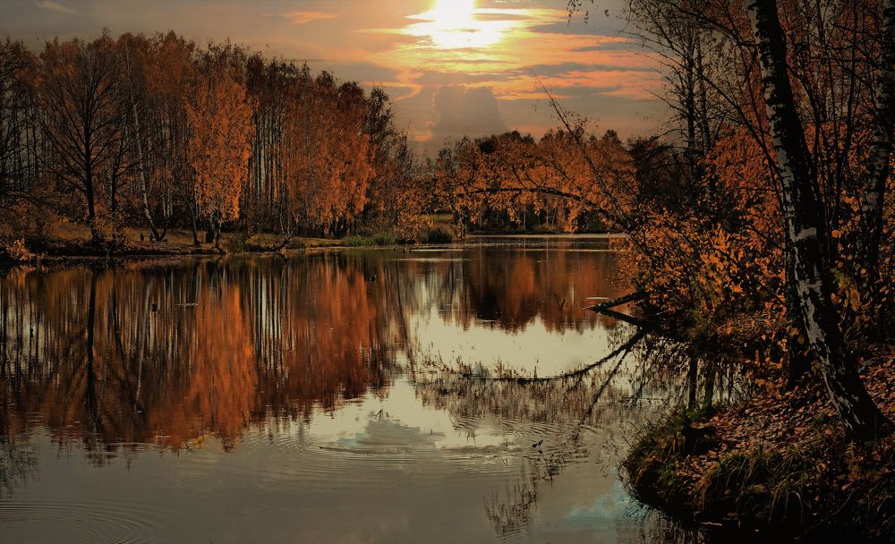 И гаснет медленно осенний день.