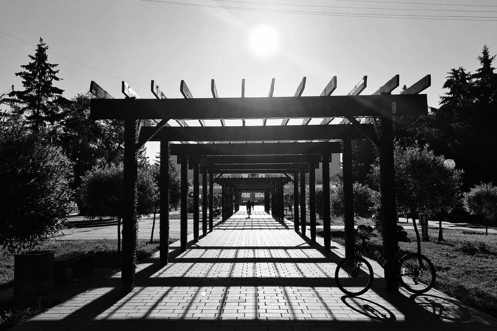 Photograph by Светлана Голик