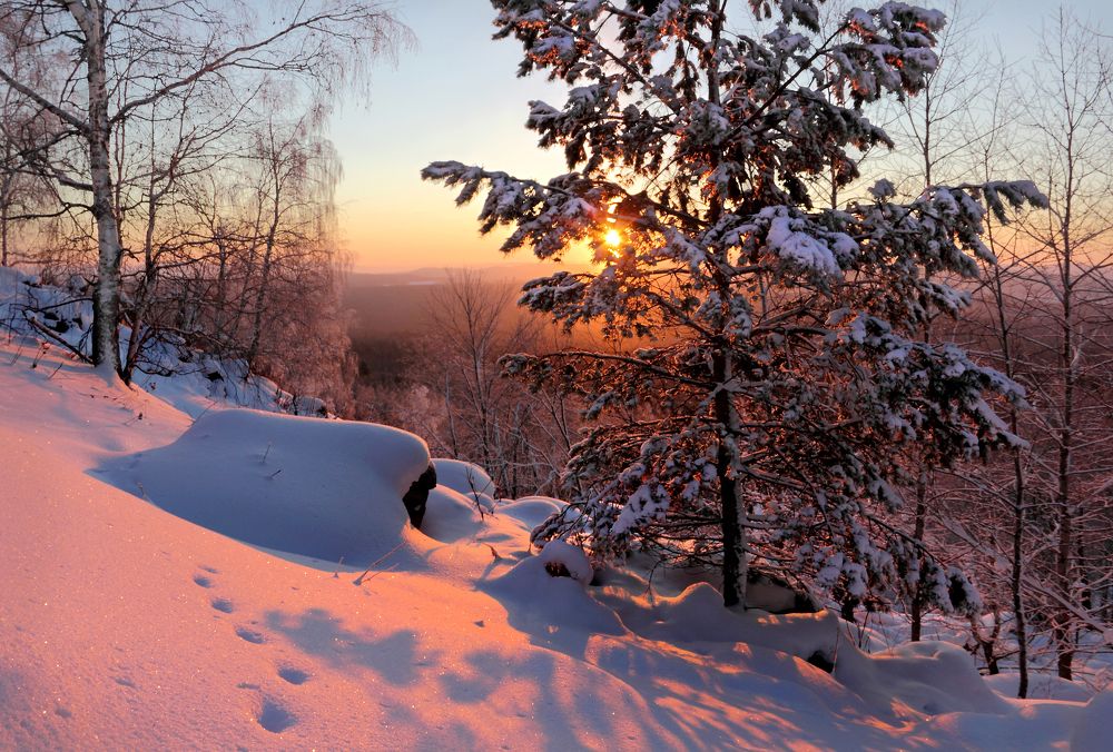 Фотография автора Кухта Мария