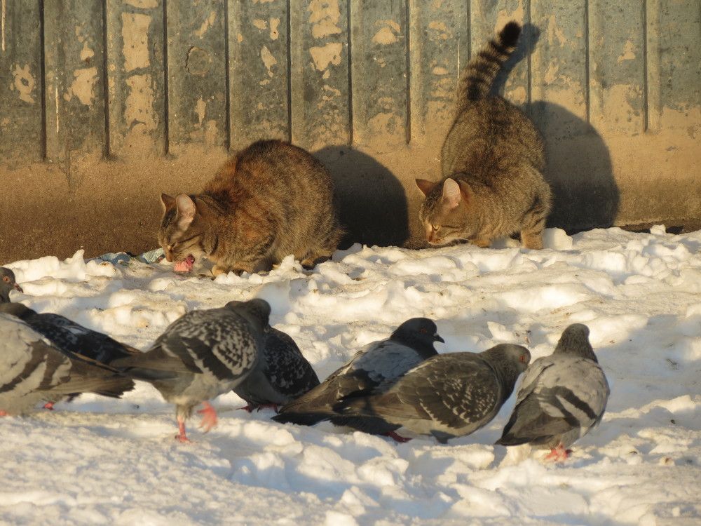 Photograph by Тимур Ушаков