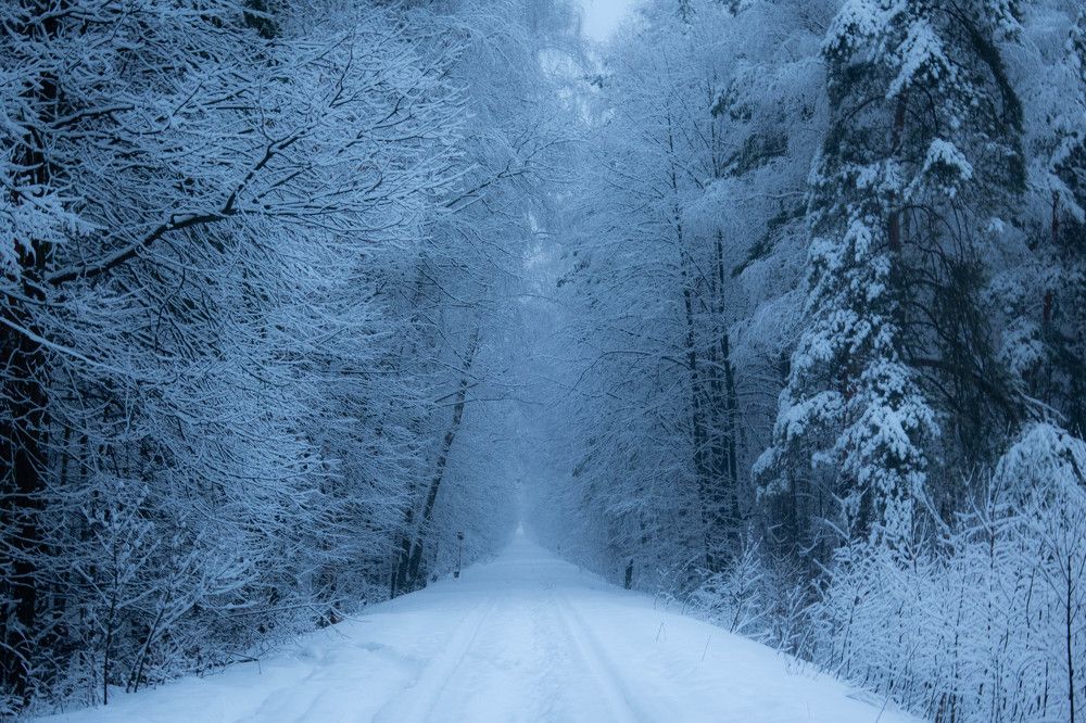 Photograph by Игорь Криулин