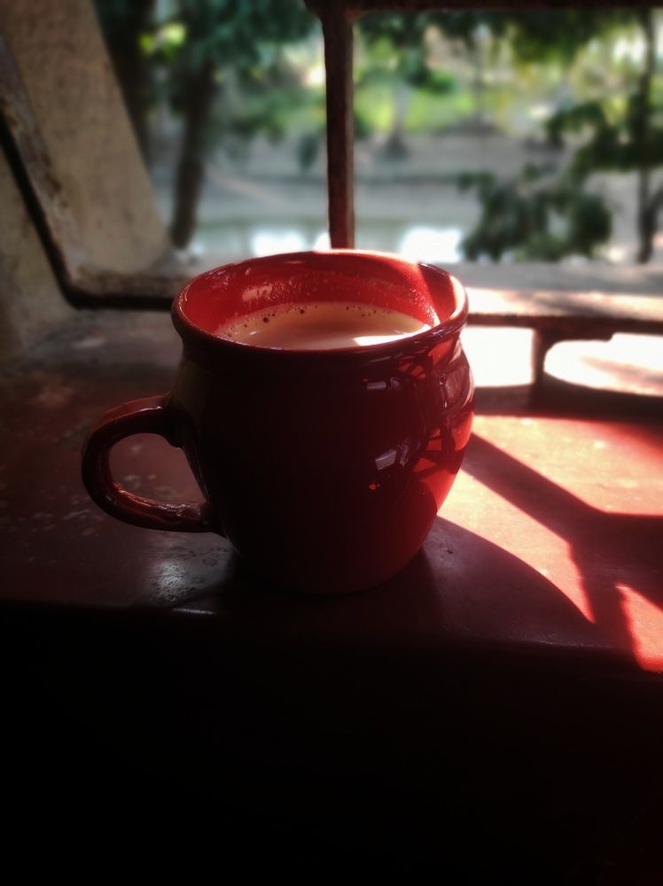 Фотография автора Anwesha Singha