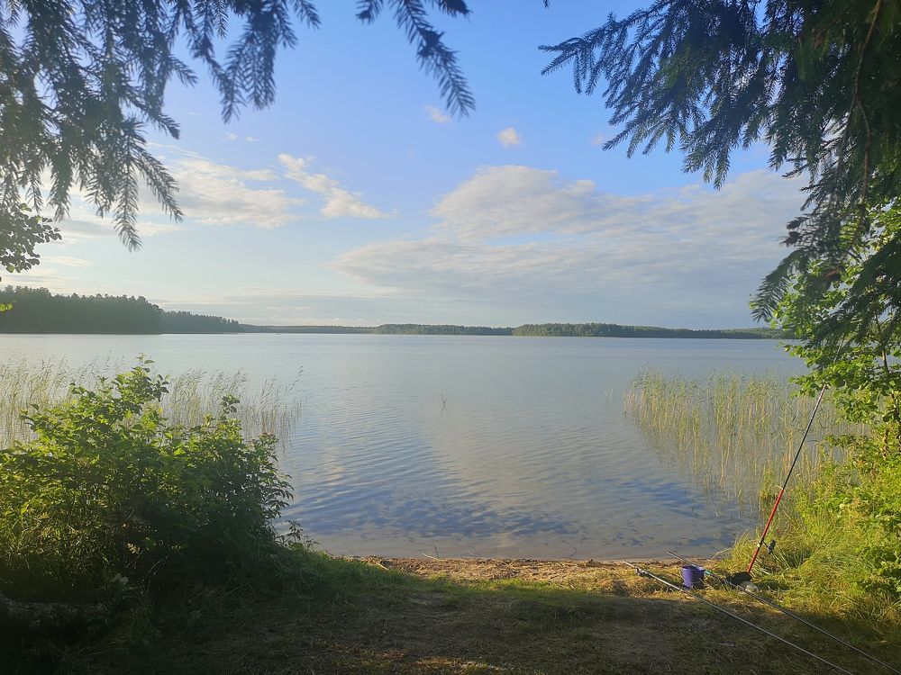 Photograph by Екатерина Борисовна Кузьмина