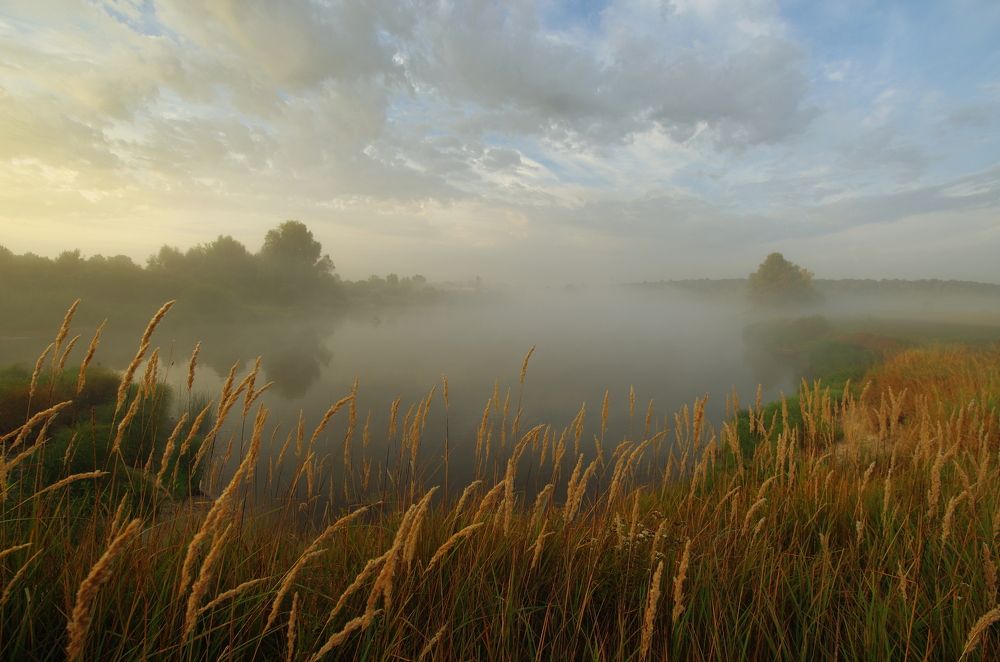 Photograph by Сергей Шляга