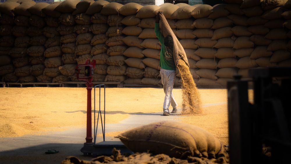 Фотография автора MITHUN KUMAR