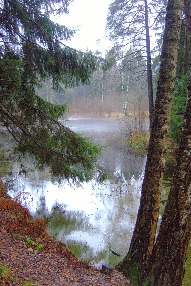 Photograph by Ольга Белик