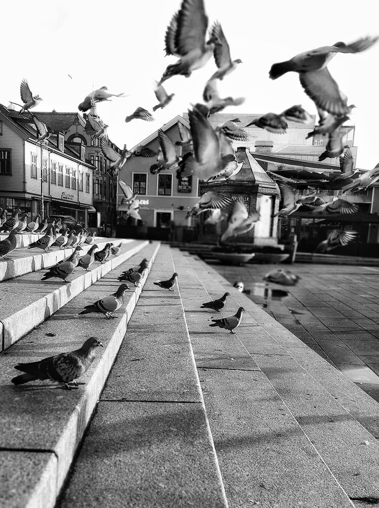 Фотография автора Alina Filimonova