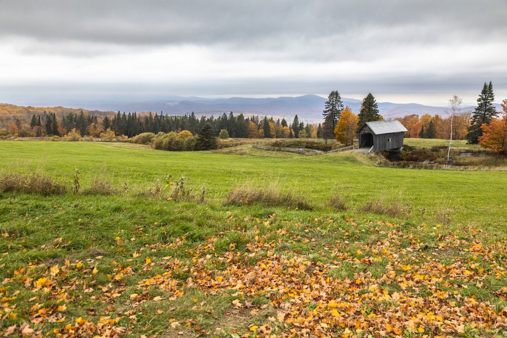 Photograph by JUAN SILVA