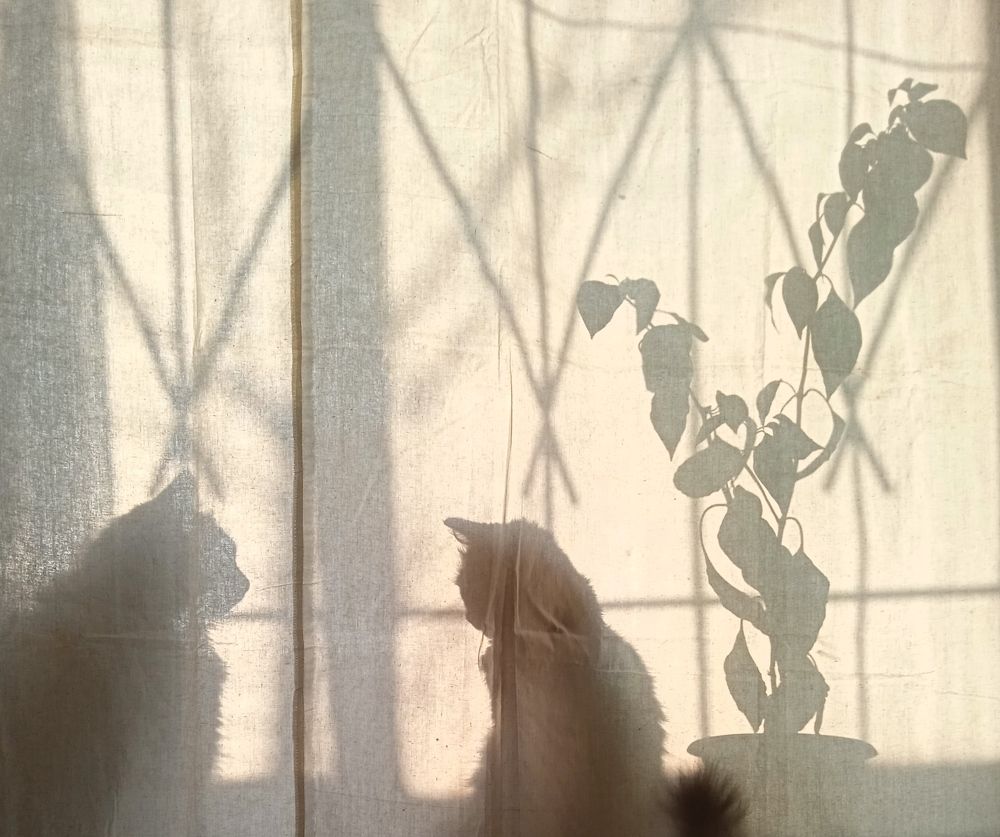 Photograph by Евсеева Валентина