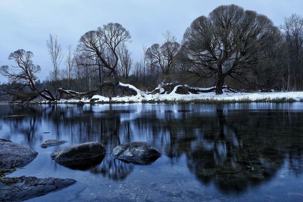 Photograph by Владимир Борозенец