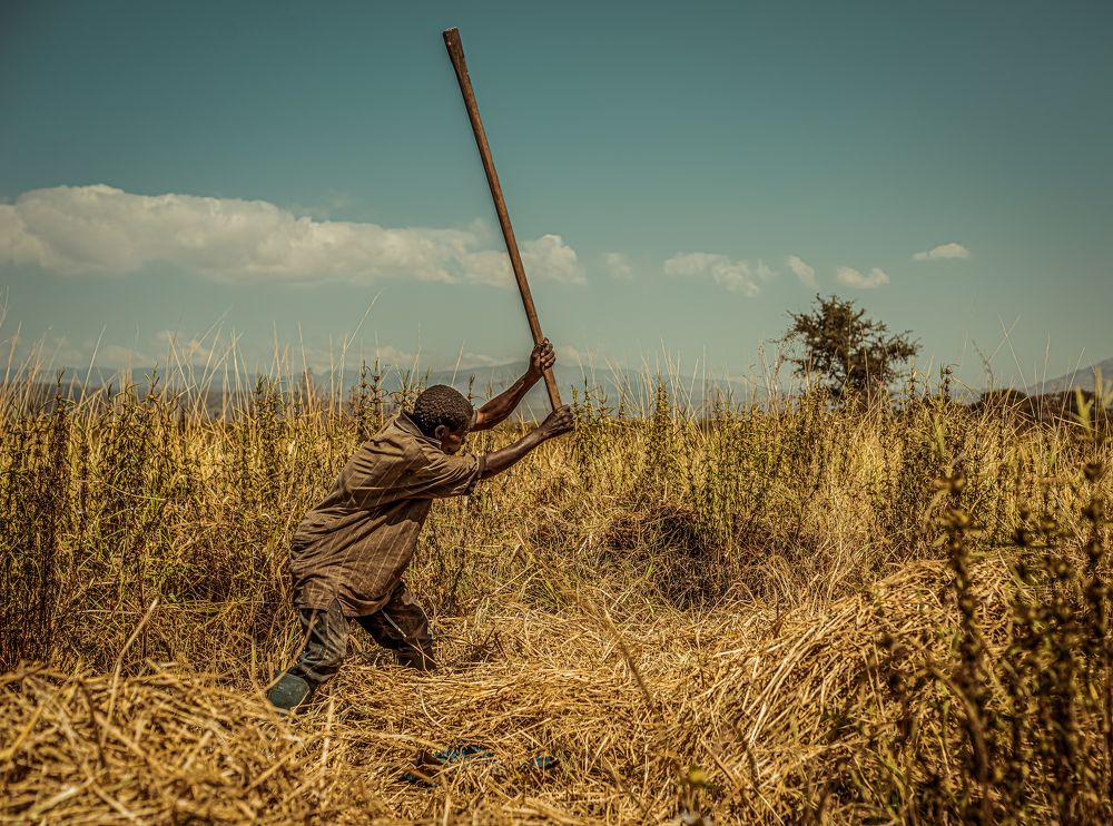 Photograph by Michael Jonathan