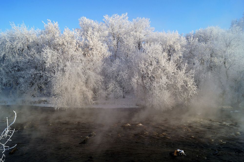 Photograph by Мишустина Татьяна