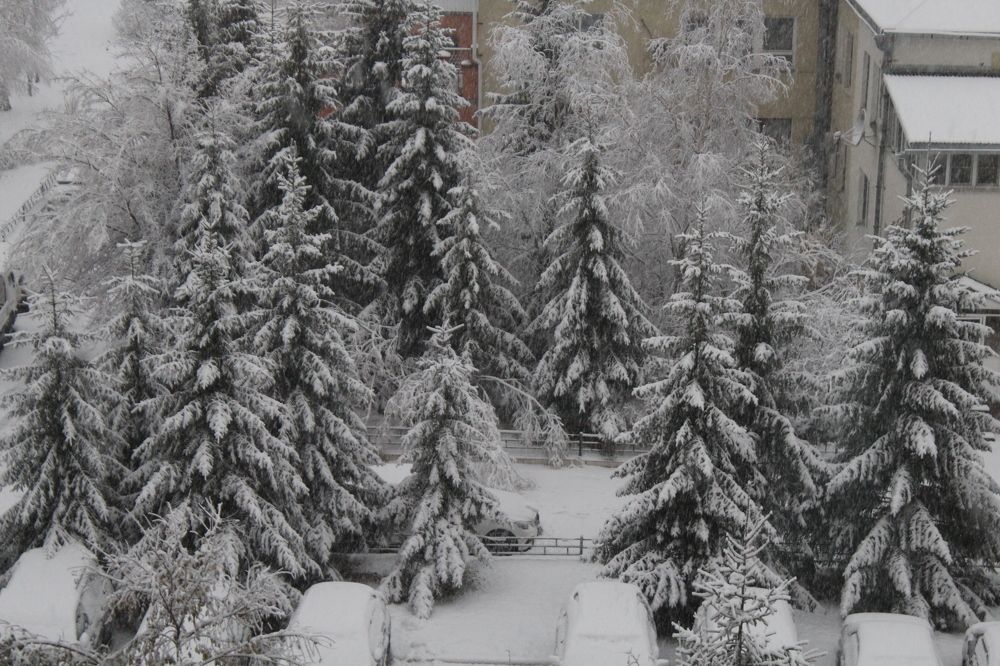 Photograph by  Людмила