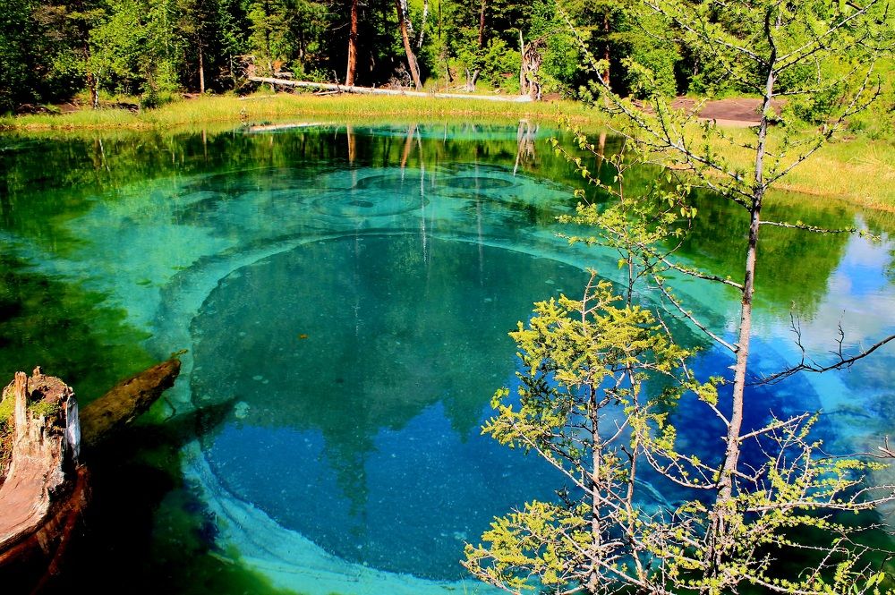 Photograph by Светлана Шиляева