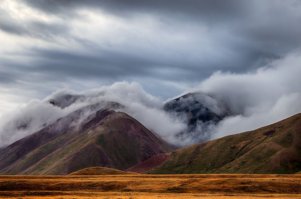 Музыка ветра и дождя