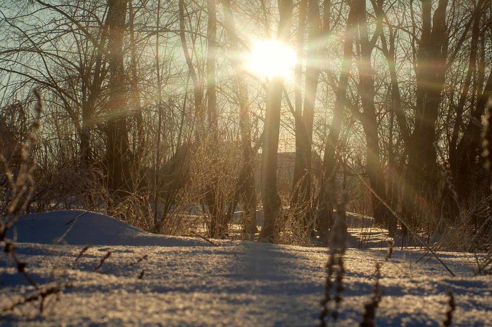 Photograph by миша